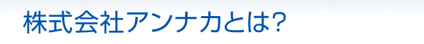 株式会社アンナカとは?