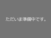 遠赤外線ホットロースター