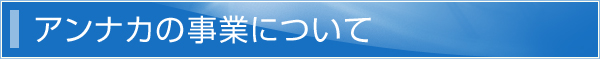 アンナカの事業について